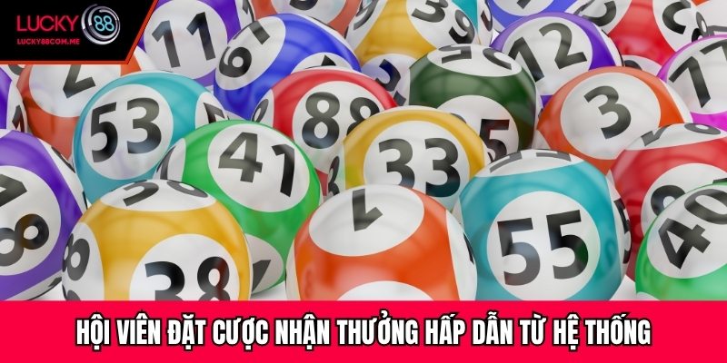 Hội viên đặt cược nhận thưởng hấp dẫn từ hệ thống