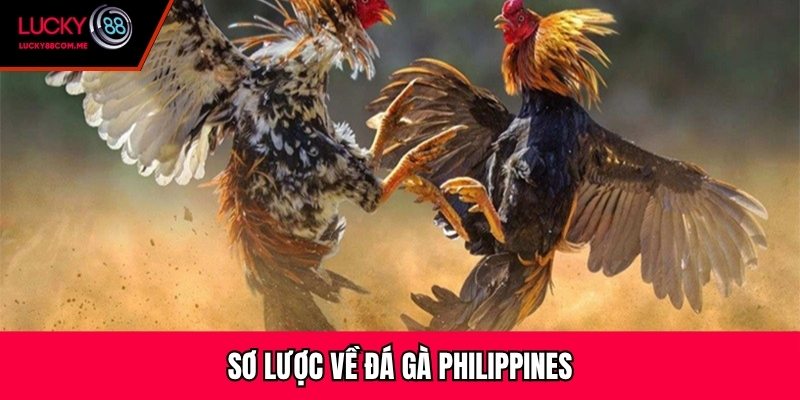 Sơ lược về đá gà Philippines